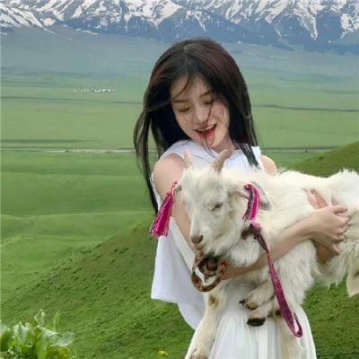 阳光下的冰器